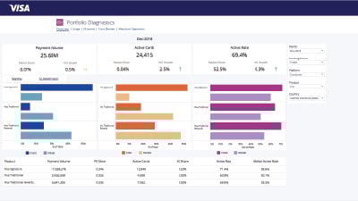 Product screen shot of portfolio diagnostics